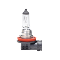 H11 12V 55W 10PK